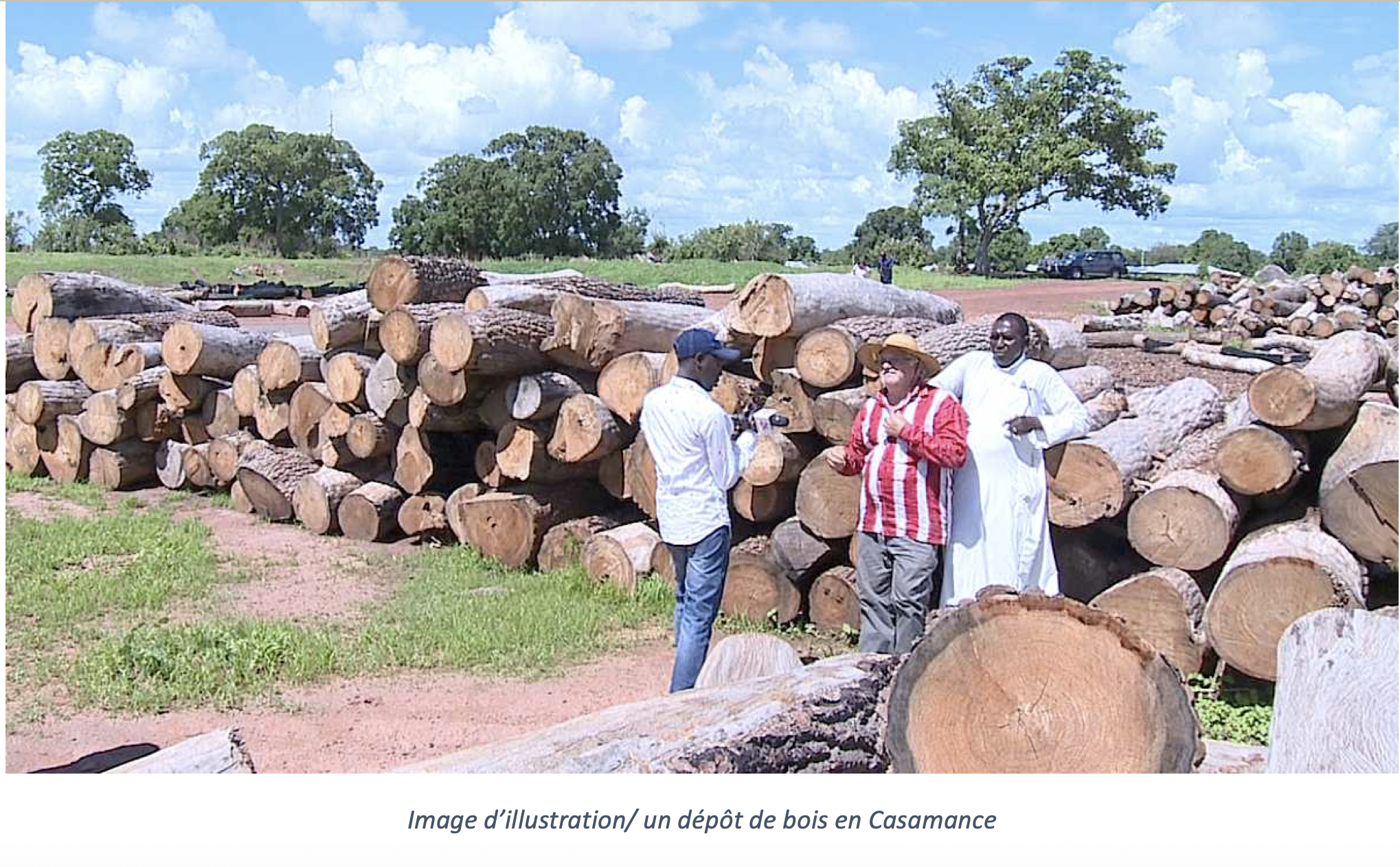Tambacounda : un trafic transfrontalier de bois démantelé à Makacolibantang…