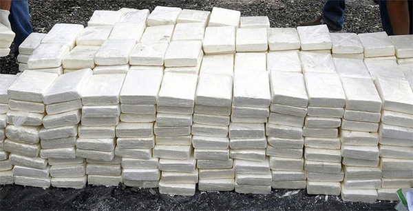 ​Lutte contre le trafic de drogue : l’Octris met la main sur 18 kilos de cocaïne