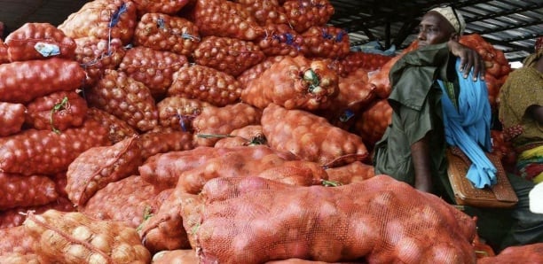 Surproduction d’oignons et de pomme de terre: Les producteurs de la zone des Niayes interpellent le ministre de l’agriculture