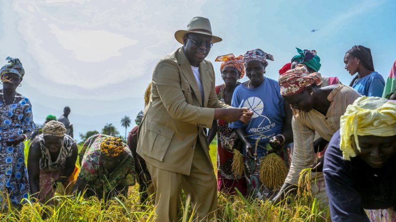 Campagne agricole : 100 milliards FCFA mis à la disposition des producteurs (Macky Sall)