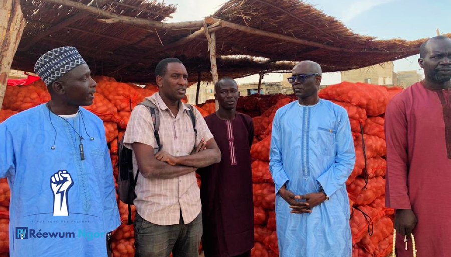 Marché de produits maraîchers de Kayar : Thierno Alassane Sall salue « la ténacité et l’inventivité des acteurs privés »