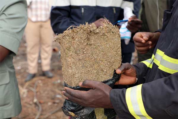 Trafic de drogue à la gare du Ter de Colobane : un Malien arrêté avec 25 sachets de kush