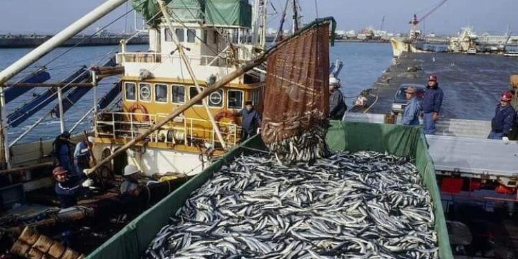 Pêche: Le pastef dénonce « le pillage de nos océans par la Chine et l’occident pendant que le Sénégal traque ses opposants… »