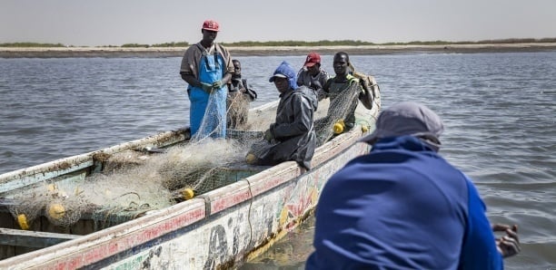 AFFAIRE DES PÊCHEURS DE CAYAR ET DE MBORO : Le procès renvoyé à nouveau en audience spéciale au vendredi 5 mai