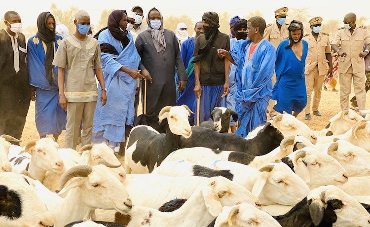 Rareté du mouton et risque de pénurie de denrées:  Les mauvais présages de la Tabaski !