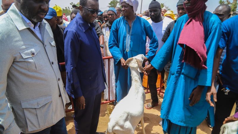 Lutte contre les inondations et vente des moutons: Amadou Bâ fait l’état des lieux…