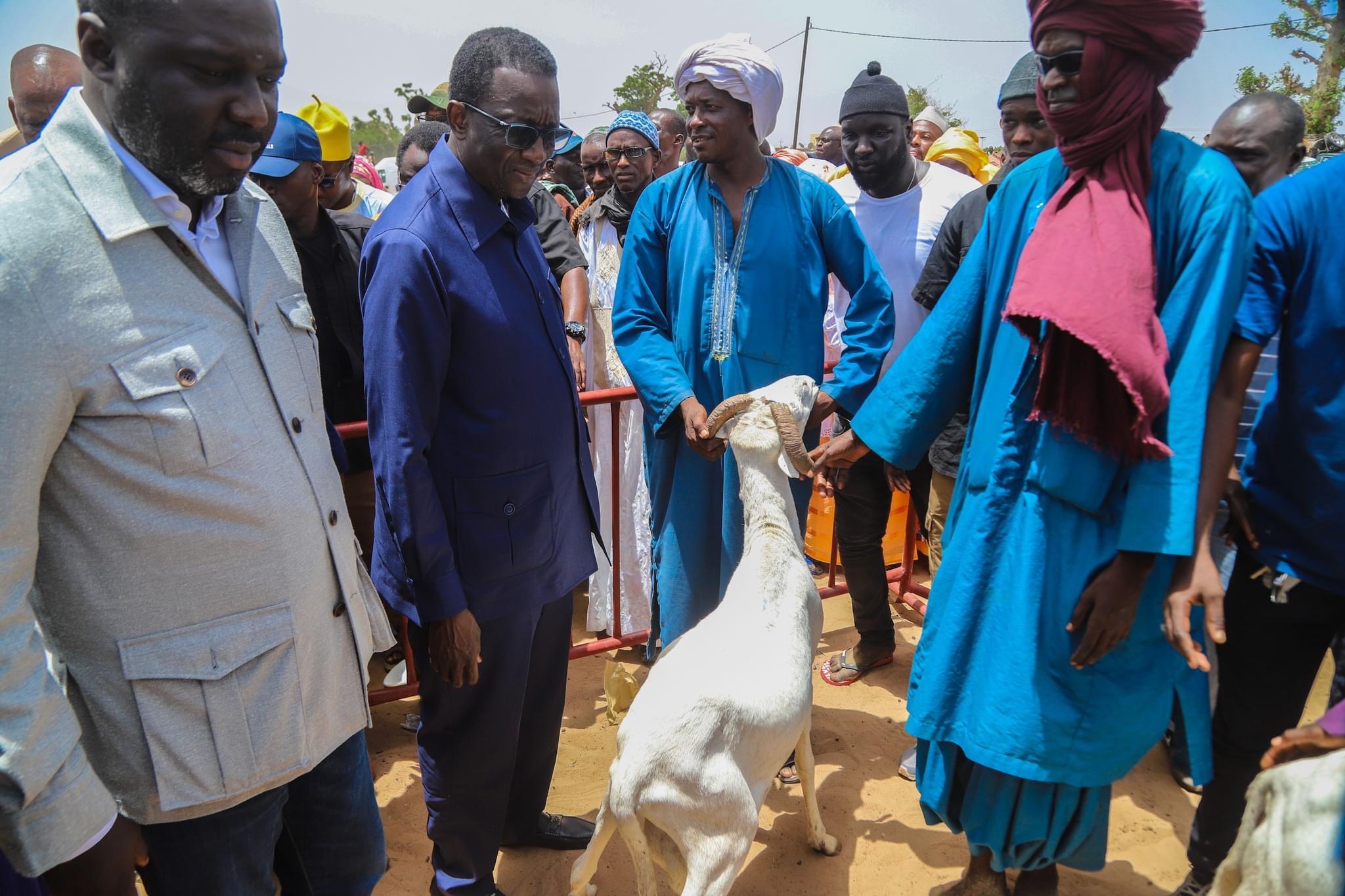 Amadou Bâ en tournée dans les marches à Bétail de la région de Thiés: Un week-end époustouflant…