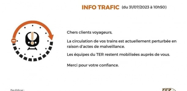 Suspension de la circulation du TER: Voici la raison