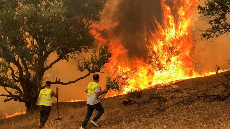 Algérie: Plus 30 morts dont 10 militaires dans de violents incendies