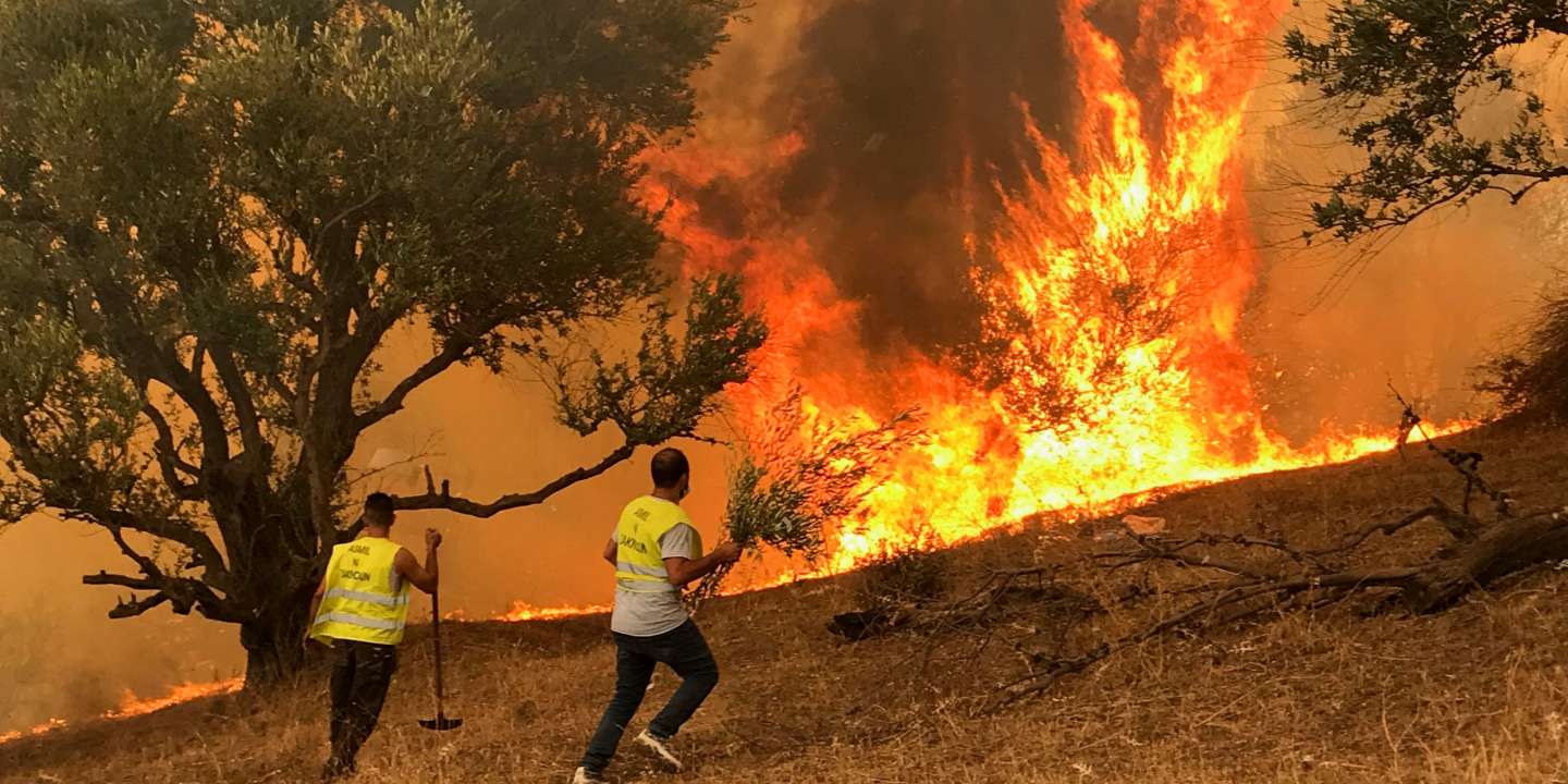 Algérie: Plus 30 morts dont 10 militaires dans de violents incendies