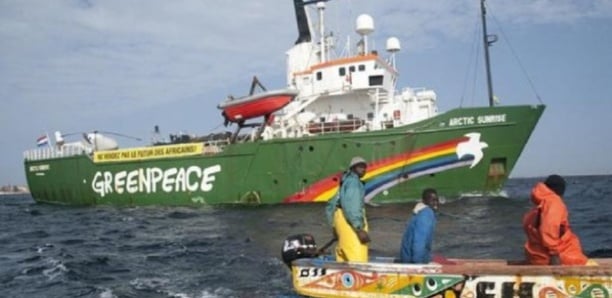 Greenpeace Afrique applaudit une décision du ministère de la Pêche