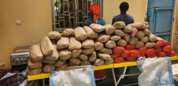 121 kg de drogue saisis : deux dealers dont une femme de 50 ans tombent…