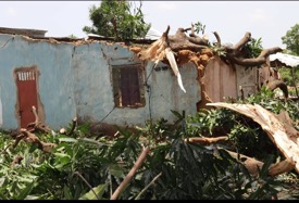 Gambie: Un orage empôrte plusieurs maisons et écoles, de nombreuses familles dans le désarroi…