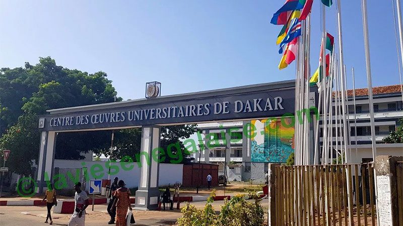 Ucad – Après la reprise des cours en présentiel : Les étudiants attendent les plats du Coud