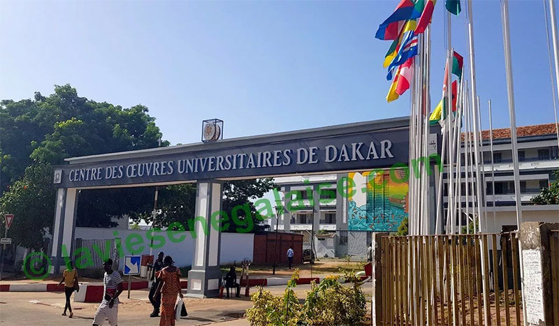 Ucad : 88,5% de réussite au Cames