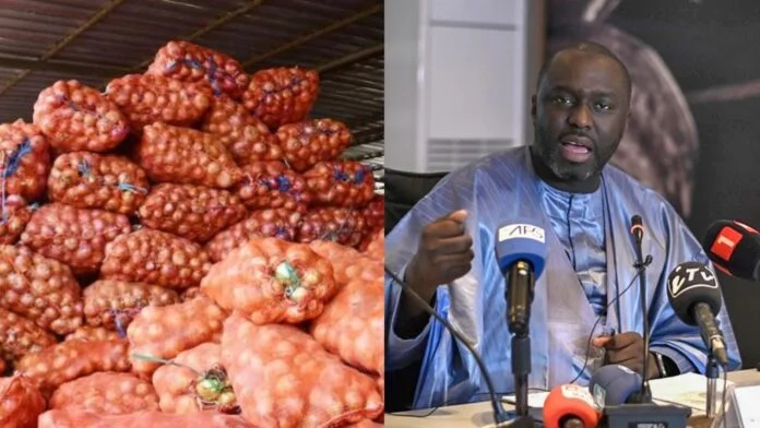 Approvisionnement du marché en oignons : Le ministre Abdou Karim Fofana annonce une bonne nouvelle