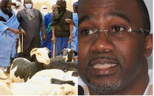 Achat de moutons de Tabaski à Ziguinchor : des éleveurs escroqués, réclament 10 millions Fcfa à Doudou Kâ