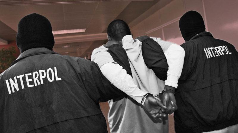 Criminalité: Des Sénégalais, Gambiens Et Français Arrêtés Par Interpol !