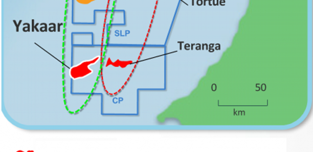 Champ gazier de Yakaar-Teranga : Bp négocie pour céder ses parts