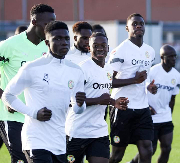 Tanière-mach amical Sénégal-Cameroun, le 16 octobre prochain : Nampalys accueille les Lions à Lens