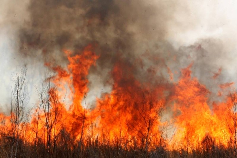 Kaolack : 851,86 ha ravagés par 42 feux de brousse entre 2022 et 2023 (IREF)