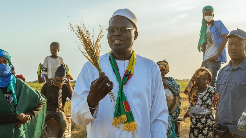 Foncier-agriculture-hydraulique: Khalifa Sall diagnostique les maux qui gangrène Linguère…