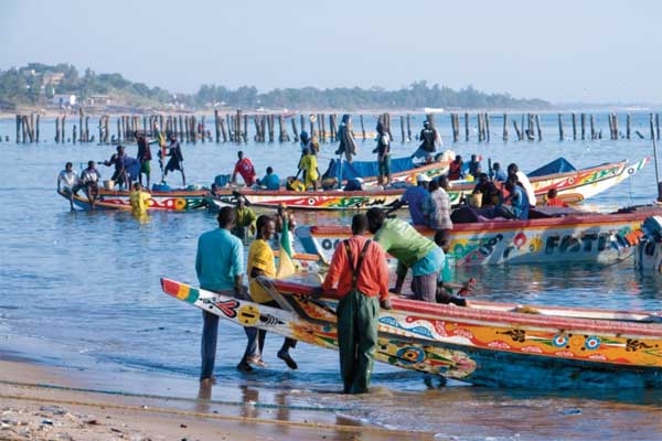 Ressources halieutiques: Pourquoi la pêche fait des vagues au Sénégal…