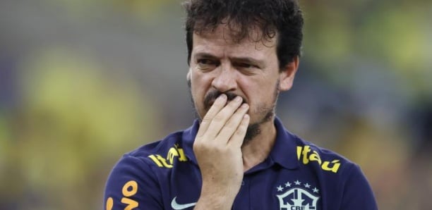 Foot : Fernando Diniz, sélectionneur national du Brésil, limogé
