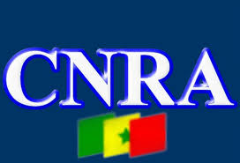 Période pré-campagne au Sénégal : le Cnra note des « manquements graves dans certains médias »