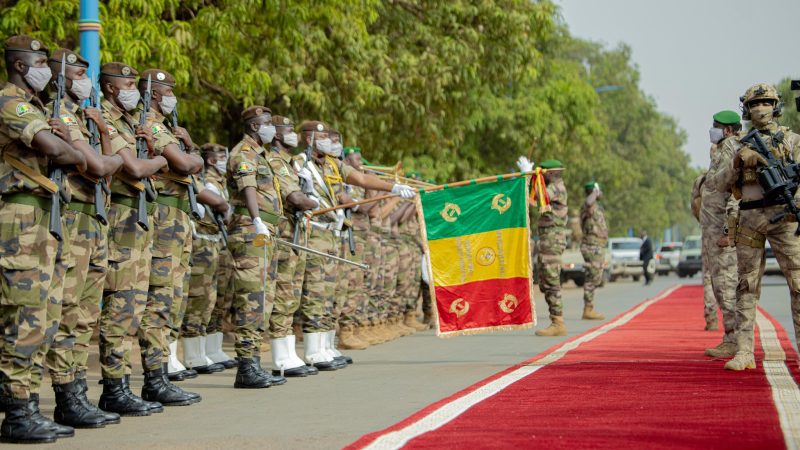 L’armée malienne et le groupe Wagner exécutent 25 personnes à Welingara (RFI)