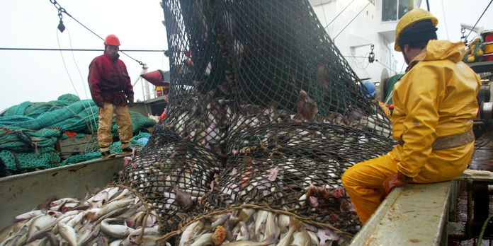 OMC – Pêche industrielle : Le Sénégal vote contre les subventions