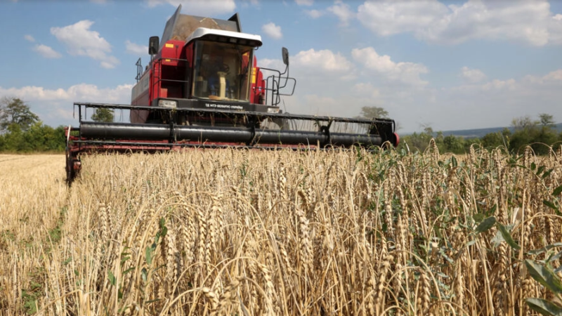 L’Union européenne divisée sur les restrictions agricoles à imposer à l’Ukraine