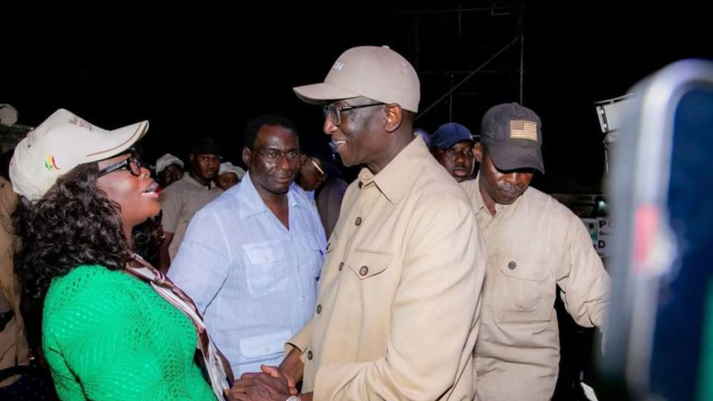 Meeting d’Amadou Ba à Fatick : Comment Thérèse Faye Diouf et Dr Cheikh Kanté ont volé la vedette aux autres…