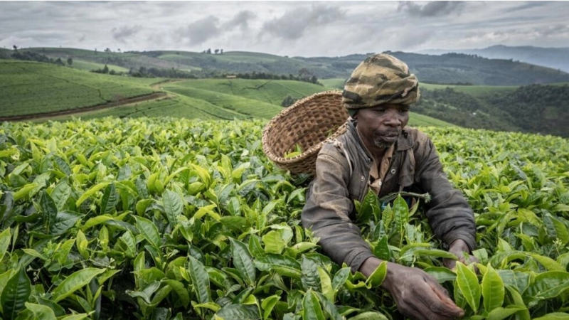 Réussite économique du Rwanda: un succès trop inégal