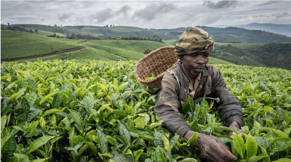 Réussite économique du Rwanda: un succès trop inégal