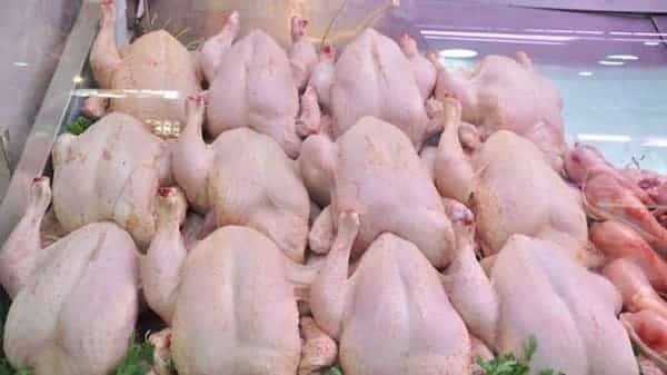 Korité-Approvisionnement du marché : Une fête avec des poulets de cher…