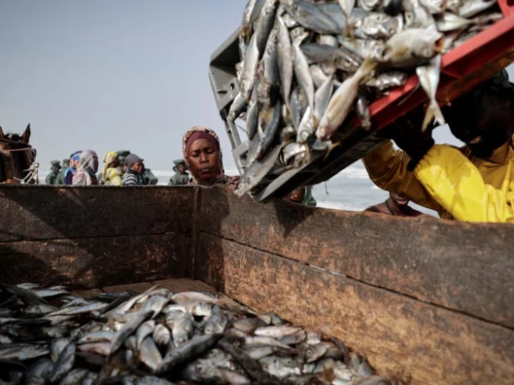 Le Sénégal publie une liste de 151 bateaux de pêche agréés, polémique sur les équipages étrangers…