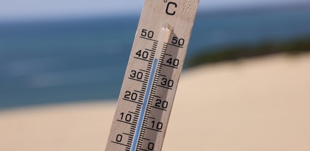 Canicule : Des régions vont enregistrer des températures jusqu’à 48 °C