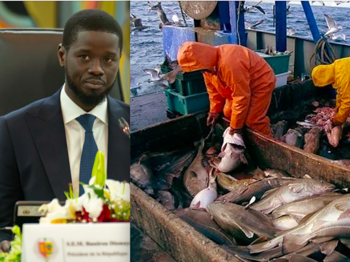 Pêche illicite : Les directives du Président Faye au gouvernement