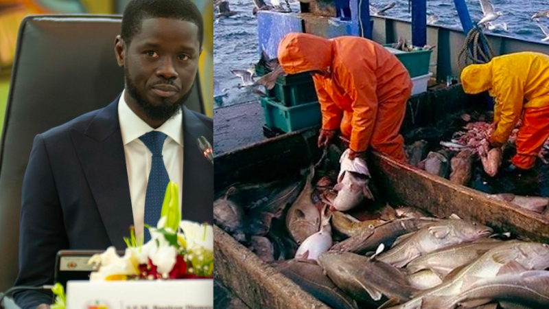 Pêche illicite : Les directives du Président Faye au gouvernement