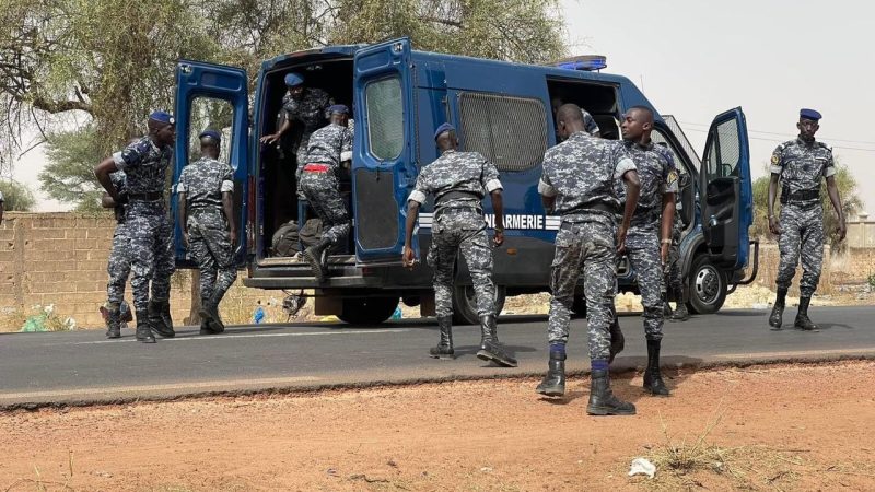 Accident mortel à Samine : un kankourang heurté par un convoi de la gendarmerie