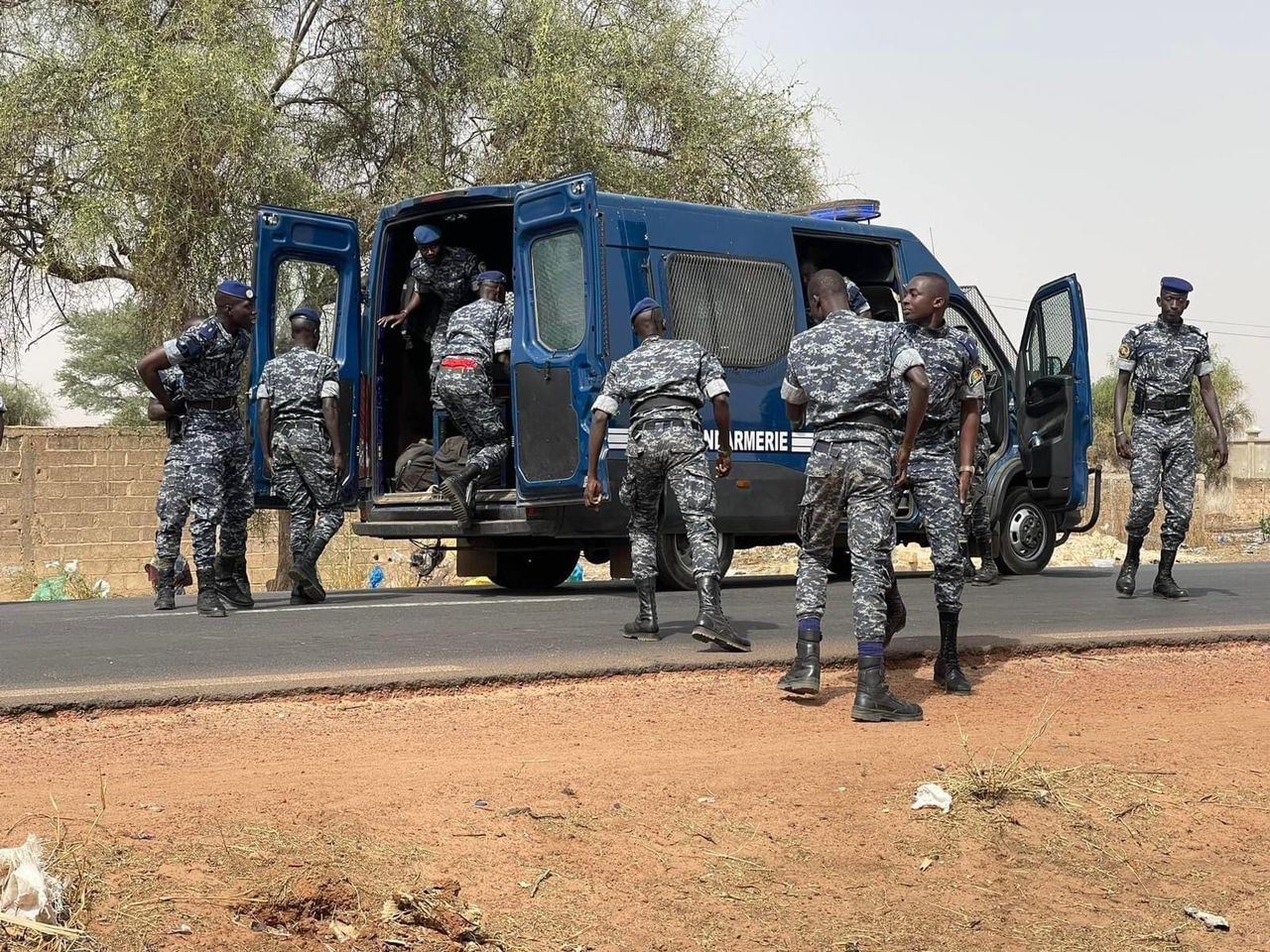 Accident mortel à Samine : un kankourang heurté par un convoi de la gendarmerie