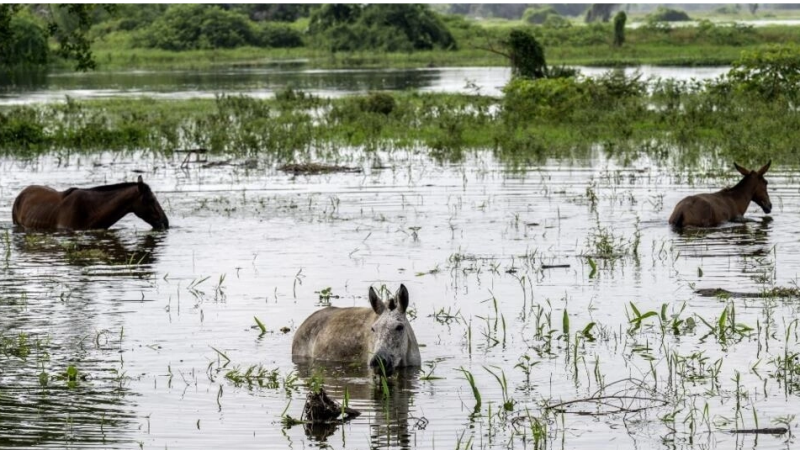 Inondations en Colombie: scandale de corruption autour de la construction d’une digue de sable