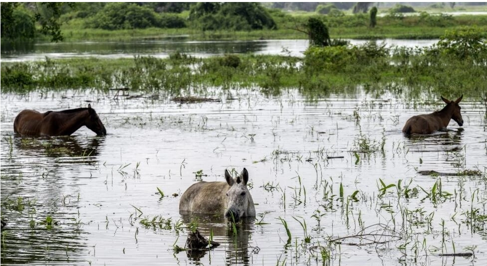 Inondations en Colombie: scandale de corruption autour de la construction d’une digue de sable