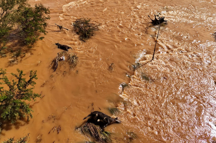 Brésil: face aux inondations, l’inquiétude du secteur agricole durement touché