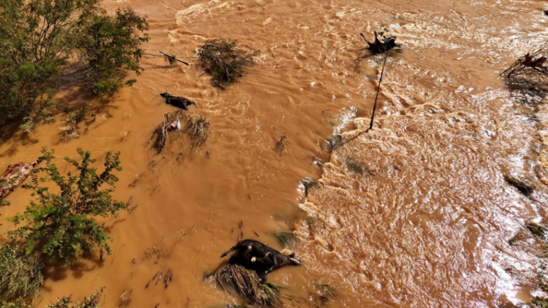 Brésil: face aux inondations, l’inquiétude du secteur agricole durement touché