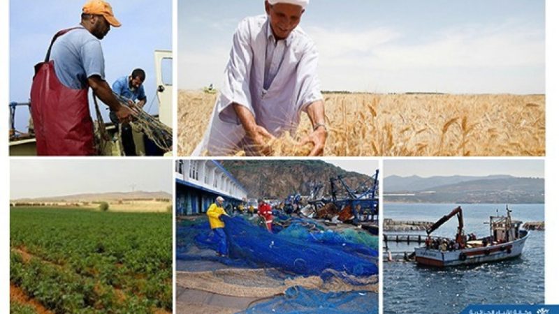 Secteurs de l’agriculture et de la pêche : en quête de «ruptures» dynamiques