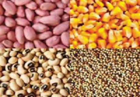 Attribution de la distribution des semences aux FDS: Des sénégalais approuvent…