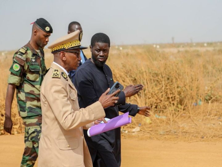 Croisade  contre les « délinquants » fonciers à Mbour: Le Président Diomaye Faye déterre les « Racines du Mal »