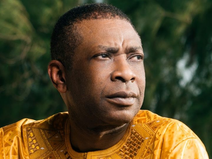 Scandales fonciers: Youssou Ndour parmi les « épinglés » pour 5 hectares